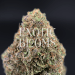 Blackberry OG (Blackberry Kush) cannabis strain with sweet berry flavor and relaxing effects – delivery available in Washington DC, Virginia, Maryland & Richmond.