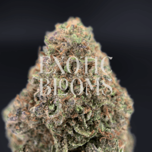 Blackberry OG (Blackberry Kush) cannabis strain with sweet berry flavor and relaxing effects – delivery available in Washington DC, Virginia, Maryland & Richmond.