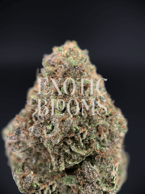 Blackberry OG (Blackberry Kush) cannabis strain with sweet berry flavor and relaxing effects – delivery available in Washington DC, Virginia, Maryland & Richmond.