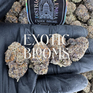 Blue Cookies indica-dominant hybrid, 28–31% THC — Exotic Blooms delivery Washington DC, Virginia, Maryland, Richmond VA