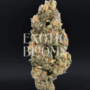Blueberry Haze strain with fruity blueberry flavor and clear-headed effects, testing at 22–26% THC. Available for weed delivery in Washington DC, Virginia, Maryland, and Richmond.