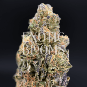 Blueberry Haze strain with fruity blueberry flavor and clear-headed effects, testing at 22–26% THC. Available for weed delivery in Washington DC, Virginia, Maryland, and Richmond.