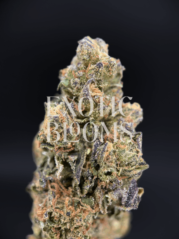 Blueberry Haze strain with fruity blueberry flavor and clear-headed effects, testing at 22–26% THC. Available for weed delivery in Washington DC, Virginia, Maryland, and Richmond.