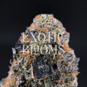 Candy Pop cannabis strain – balanced hybrid with sweet candy flavor and uplifting effects, available for delivery in Washington DC, Virginia, Maryland, and Richmond.