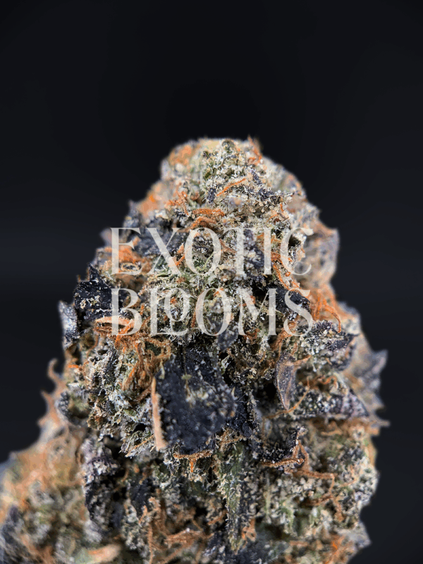 Candy Pop cannabis strain – balanced hybrid with sweet candy flavor and uplifting effects, available for delivery in Washington DC, Virginia, Maryland, and Richmond.