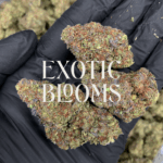 Cheetah Piss strain for DC, Virginia, Maryland & Richmond weed delivery – Exotic Blooms