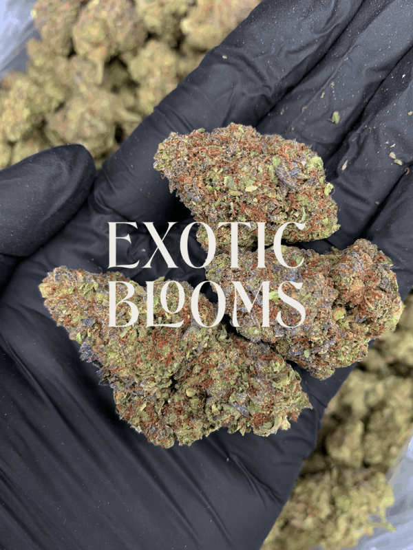 Cheetah Piss strain for DC, Virginia, Maryland & Richmond weed delivery – Exotic Blooms