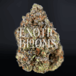 Cheetah Piss strain for DC, Virginia, Maryland & Richmond weed delivery – Exotic Blooms
