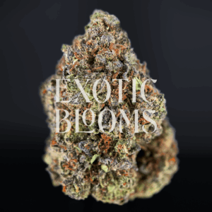 Cheetah Piss strain for DC, Virginia, Maryland & Richmond weed delivery – Exotic Blooms