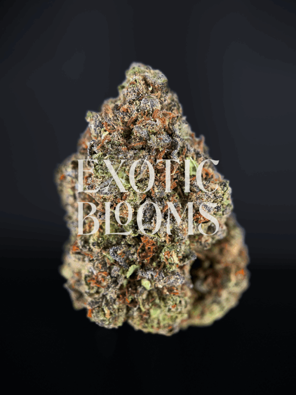 Cheetah Piss strain for DC, Virginia, Maryland & Richmond weed delivery – Exotic Blooms