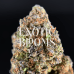 Cheetah Piss strain for DC, Virginia, Maryland & Richmond weed delivery – Exotic Blooms