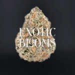 Cherry Lime Haze sativa strain, popcorn indoor nugs with 23–26% THC, delivering cherry-citrus flavor and uplifting effects. Available for weed delivery in DC, Virginia, Maryland, and Richmond.