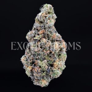 Cindy’s Slurry strain buds for Washington DC, Virginia, Maryland, and Richmond weed delivery – Exotic Blooms