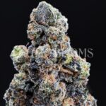 Cindy’s Slurry strain buds for Washington DC, Virginia, Maryland, and Richmond weed delivery – Exotic Blooms