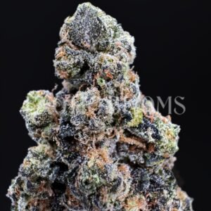 Cindy’s Slurry strain buds for Washington DC, Virginia, Maryland, and Richmond weed delivery – Exotic Blooms