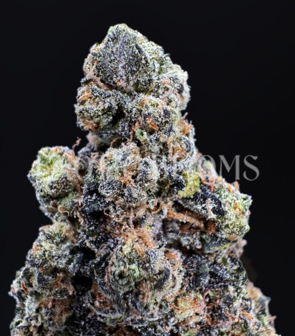 Cindy’s Slurry strain buds for Washington DC, Virginia, Maryland, and Richmond weed delivery – Exotic Blooms