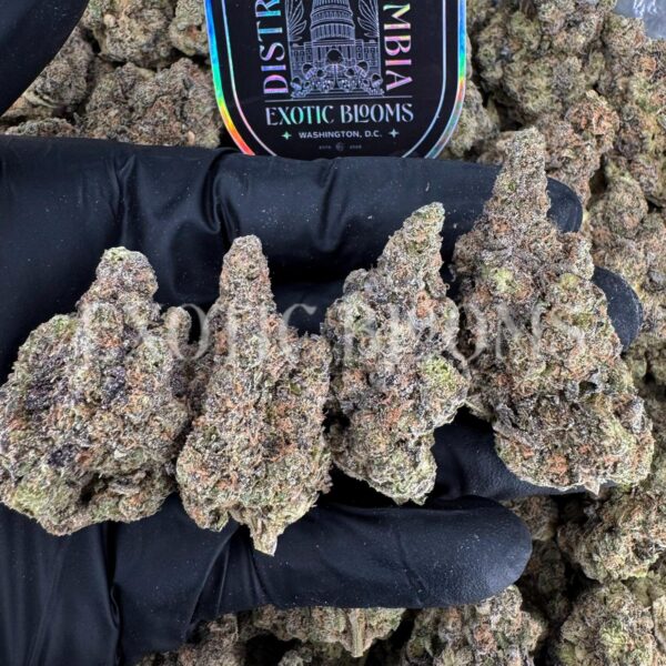 Cindy’s Slurry strain buds for Washington DC, Virginia, Maryland, and Richmond weed delivery – Exotic Blooms