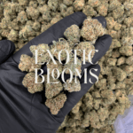 Petro Chem strain with tropical fruity gas flavor and 26–28% THC, popcorn-sized nugs with full indoor potency. Available for weed delivery in DC, Virginia, Maryland, and Richmond.