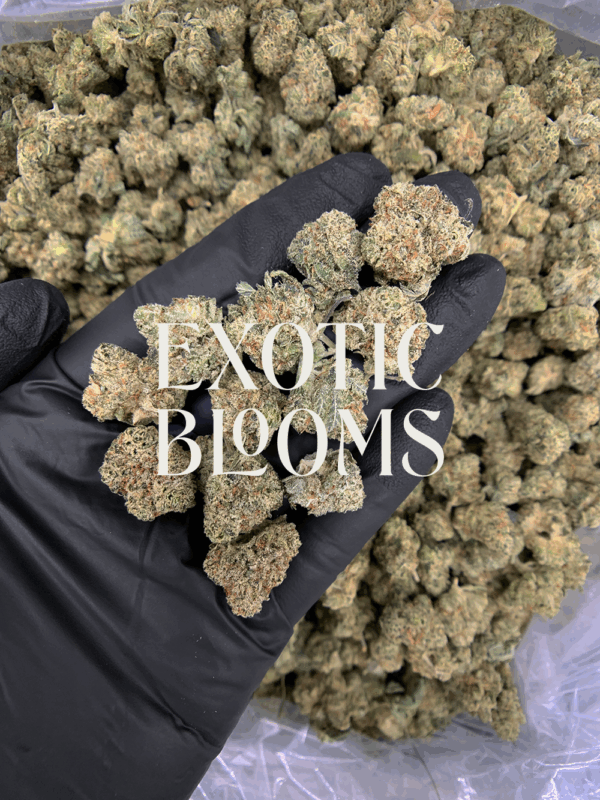 Petro Chem strain with tropical fruity gas flavor and 26–28% THC, popcorn-sized nugs with full indoor potency. Available for weed delivery in DC, Virginia, Maryland, and Richmond.