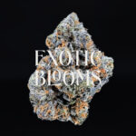 Frosted Gelato sativa hybrid strain — 27–30% THC — Exotic Blooms — Washington DC, Virginia, Maryland, Richmond VA delivery