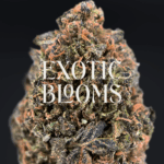 Gaslato cannabis strain with sweet diesel and vanilla mint aroma, available for DC, Virginia, Maryland, and Richmond weed delivery