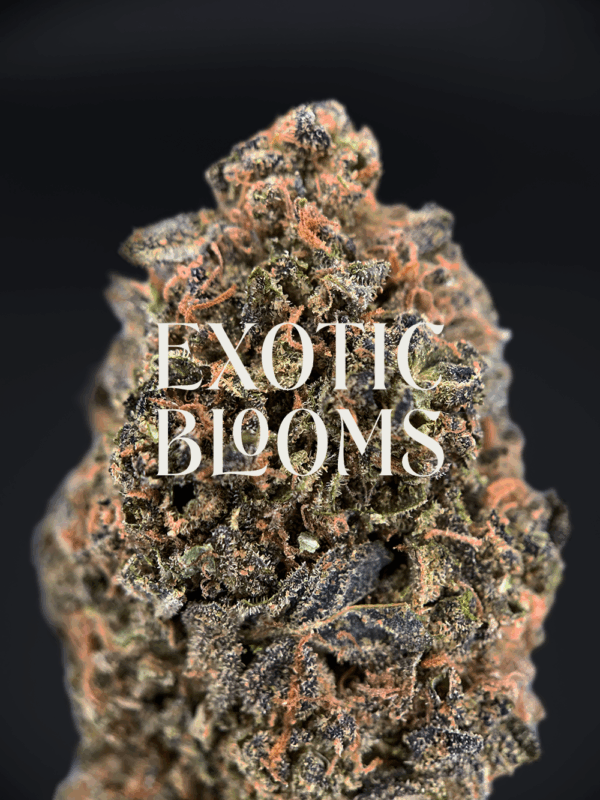 Gaslato cannabis strain with sweet diesel and vanilla mint aroma, available for DC, Virginia, Maryland, and Richmond weed delivery