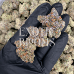 Gelonade cannabis strain with frosty mint-green buds and citrus-vanilla aroma, available for weed delivery in Washington DC, Virginia, Maryland, and Richmond.