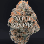 Gelonade cannabis strain with frosty mint-green buds and citrus-vanilla aroma, available for weed delivery in Washington DC, Virginia, Maryland, and Richmond.