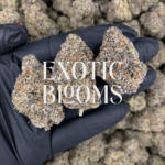Gooberz cannabis strain with nutty peanut butter and sweet grape jelly flavor, testing at 28–32% THC. Available for weed delivery in Washington DC, Virginia, Maryland, and Richmond.