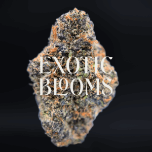 Gooberz cannabis strain with nutty peanut butter and sweet grape jelly flavor, testing at 28–32% THC. Available for weed delivery in Washington DC, Virginia, Maryland, and Richmond.
