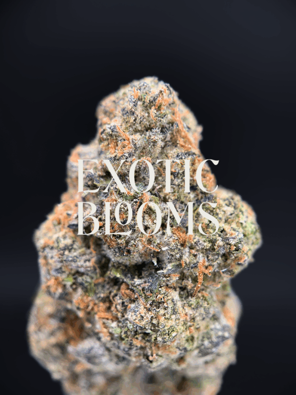 Gooberz cannabis strain with nutty peanut butter and sweet grape jelly flavor, testing at 28–32% THC. Available for weed delivery in Washington DC, Virginia, Maryland, and Richmond.