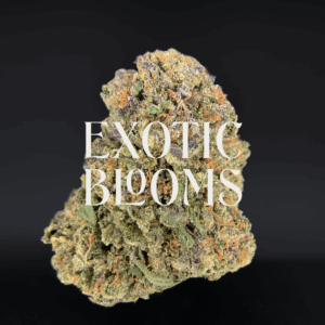 Guava cannabis strain with tropical fruity flavor and uplifting sativa effects, testing at 22–26% THC. Available for weed delivery in Washington DC, Virginia, Maryland, and Richmond.