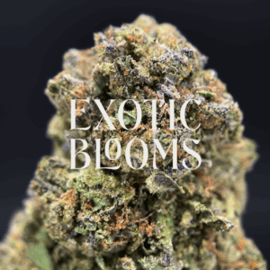 Guava cannabis strain with tropical fruity flavor and uplifting sativa effects, testing at 22–26% THC. Available for weed delivery in Washington DC, Virginia, Maryland, and Richmond.