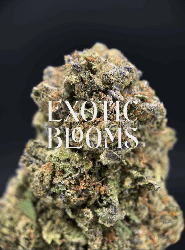 Guava cannabis strain with tropical fruity flavor and uplifting sativa effects, testing at 22–26% THC. Available for weed delivery in Washington DC, Virginia, Maryland, and Richmond.