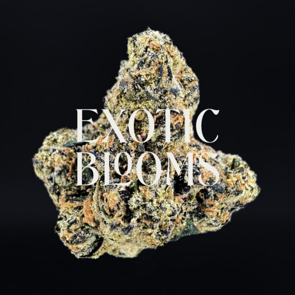 Gumbo Runtz strain, indica-leaning hybrid, 29–31% THC, Exotic Blooms weed delivery in Washington DC, Virginia, Maryland, and Richmond VA