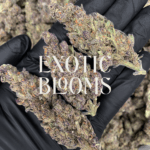 Hawaiian Trainwreck strain for weed delivery in Washington DC, Virginia, and Maryland