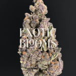 Hawaiian Trainwreck strain for weed delivery in Washington DC, Virginia, and Maryland