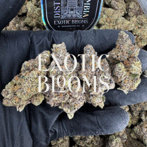 Horchata hybrid cannabis strain — +29% THC — Exotic Blooms — Washington DC, Virginia, Maryland, Richmond VA delivery