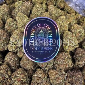 Ice King cannabis strain for weed delivery in Washington DC, Virginia, Maryland, and Richmond