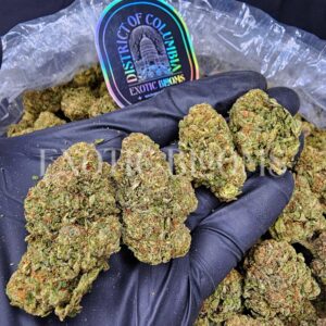 Ice King cannabis strain for weed delivery in Washington DC, Virginia, Maryland, and Richmond