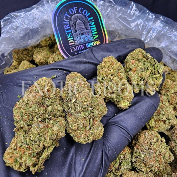 Ice King cannabis strain for weed delivery in Washington DC, Virginia, Maryland, and Richmond