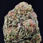 Ice King cannabis strain for weed delivery in Washington DC, Virginia, Maryland, and Richmond