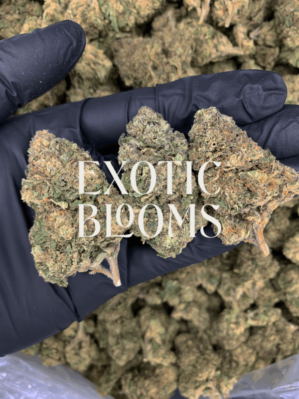 Illuminati OG strain with dense frosty buds, earthy pine aroma, and 24–27% THC. Available for weed delivery in Washington DC, Virginia, Maryland, and Richmond.
