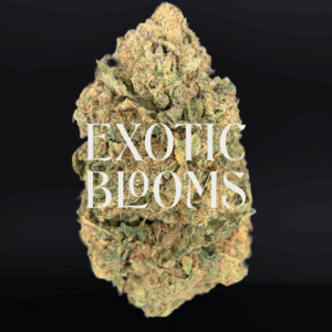 Illuminati OG strain with dense frosty buds, earthy pine aroma, and 24–27% THC. Available for weed delivery in Washington DC, Virginia, Maryland, and Richmond.