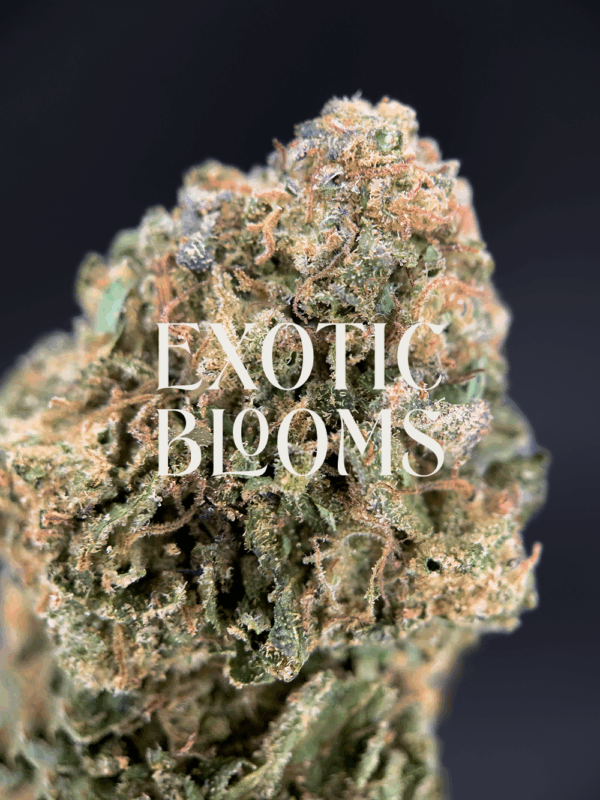 Illuminati OG strain with dense frosty buds, earthy pine aroma, and 24–27% THC. Available for weed delivery in Washington DC, Virginia, Maryland, and Richmond.