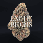Gaslato cannabis strain with sweet diesel and vanilla mint aroma, available for DC, Virginia, Maryland, and Richmond weed delivery