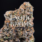 Lip Smacker strain, indica-leaning hybrid, 27–29% THC, Exotic Blooms weed delivery in Washington DC, Virginia, Maryland, and Richmond VA