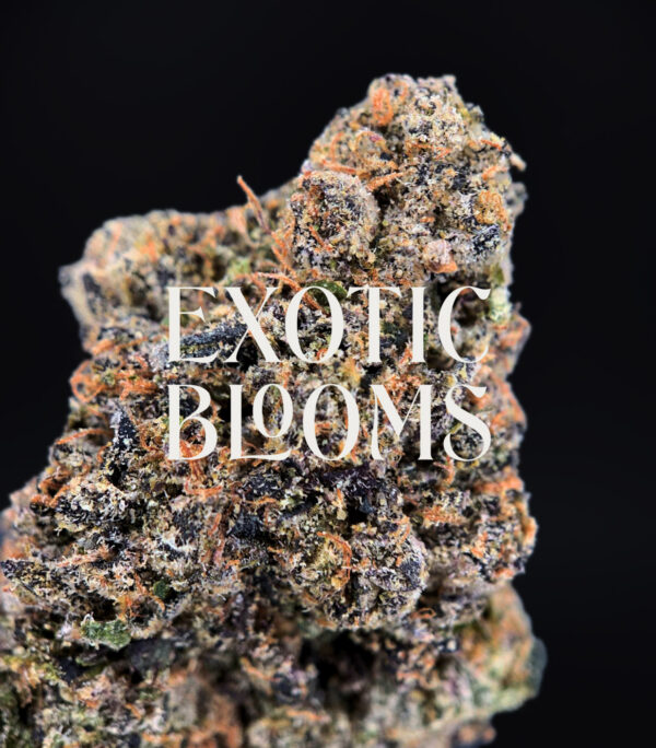 Lip Smacker strain, indica-leaning hybrid, 27–29% THC, Exotic Blooms weed delivery in Washington DC, Virginia, Maryland, and Richmond VA
