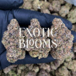 Lip Smacker strain, indica-leaning hybrid, 27–29% THC, Exotic Blooms weed delivery in Washington DC, Virginia, Maryland, and Richmond VA