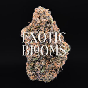 Lip Smacker strain, indica-leaning hybrid, 27–29% THC, Exotic Blooms weed delivery in Washington DC, Virginia, Maryland, and Richmond VA